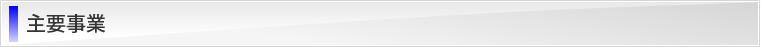 主要事業